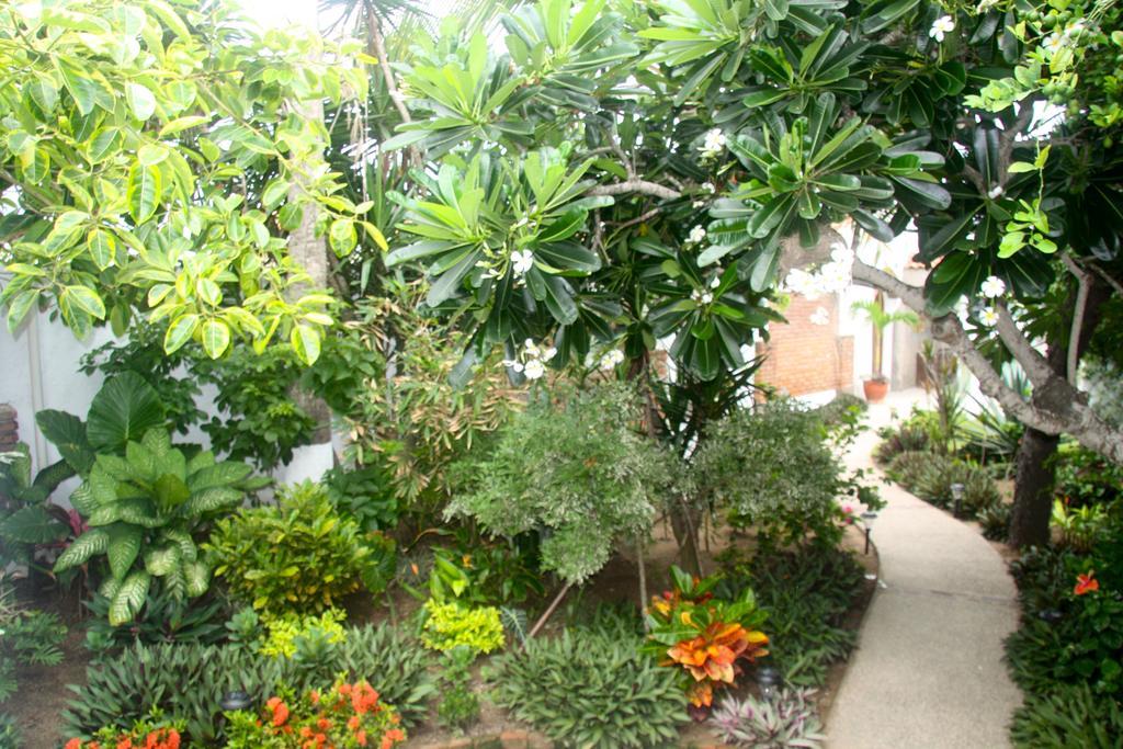 El Sol La Vida Beach Front B/B Adults Only Mazatlán Exterior foto